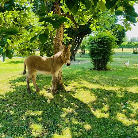 Chez Jan Et Nicole - Toulouse Bed & Breakfast Le Temple-sur-Lot